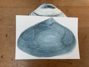 Jill Slosburg-Ackerman