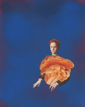 Amy Ross, Bronzino Shroom