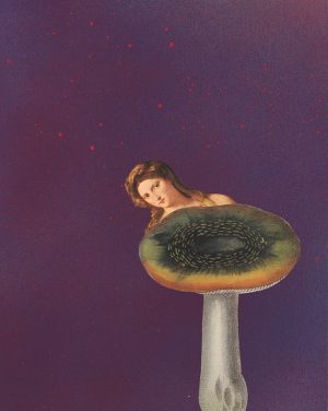 Amy Ross, Titian Shroom