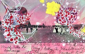 Jenny Brown - 'The Beachcombers'