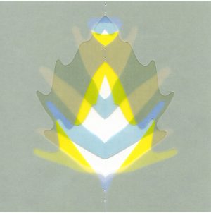 Shannon Rankin-'Simpling No. 28'