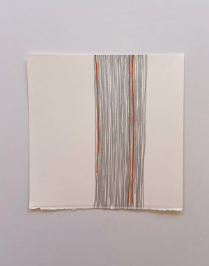 Lynne Harlow <br>'DBH 6'