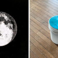 N. Sean Glover, Daniela Rivera